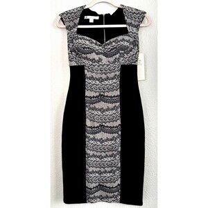 Boston Proper Fitted Dress Black Ivory Lace Print Scuba Stretch Mini Pencil SZ 4